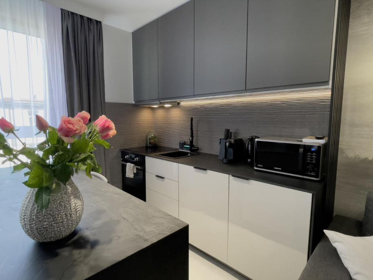 Urban Apartments Premium, Opolska 10 No 89, Free Garage, Self Check-In カトヴィツェ エクステリア 写真